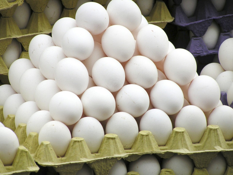 陳俊成表示，溫較能延遲微生物繁殖和生物化學反應，他建議購買冷藏蛋為佳，若是購買室溫蛋，同樣建議以「冷藏」方式保存。   圖／業者提供