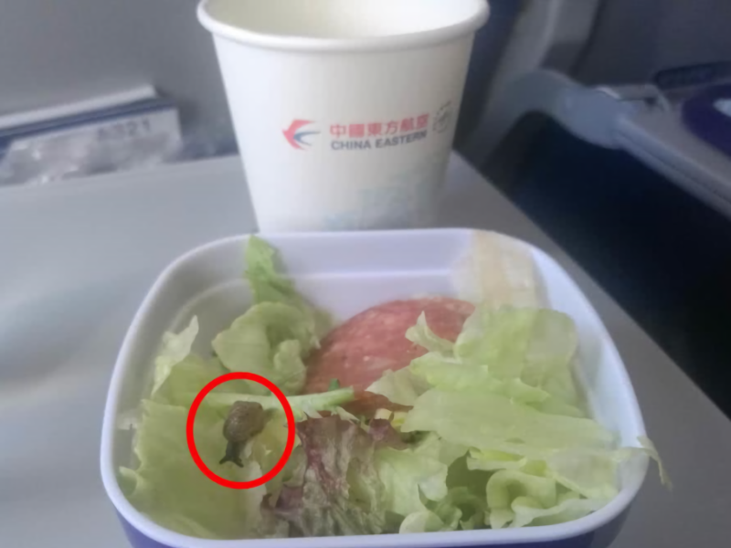 上海民眾楊小姐去年搭乘從上海飛往澳門的東方航空MU2007航班，在飛機餐的沙拉中赫然發現一隻活蝸牛。    圖 / 翻攝自南方都市報