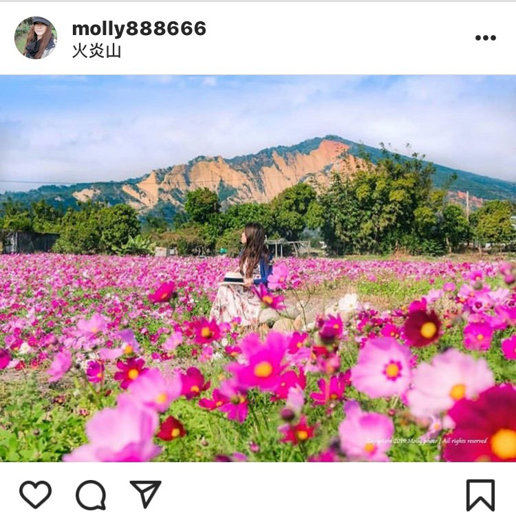 苗栗火炎山搭配波斯菊花海美景，像極了一幅美麗的畫作。   圖：翻攝自instagram molly888666／開放權限