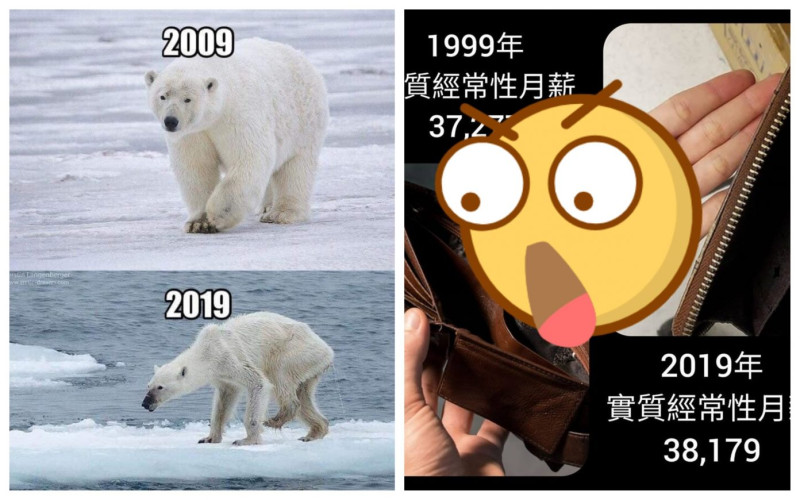 網友貼出北極熊十年和現今的對照圖，激瘦模樣讓人不捨。   圖／翻攝自臉書
