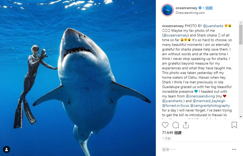 潛水客藍西（Ocean Ramsey）在社群軟體放上與鯊魚的合照。   圖：Ｏcean Ramsey Instagram／翻攝