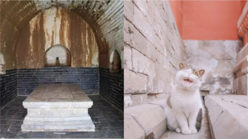 日前南京出土了兩個明代的公主墓，在懷慶公主的墓中還發現了兩具貓骨，考古人員表示，這是首次發現「貓奴」的公主。   圖 / 翻攝自南京考古微信