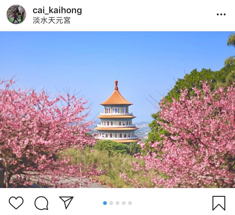 「無極天元宮」後山的櫻花景緻，搭配天元宮傳統的中國式建築，拍起來別有一番風味。   圖：翻攝自instagram cai_kaihong／開放權限