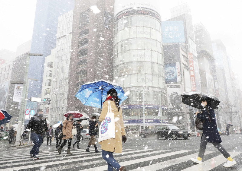 日本北海道受到史上最強寒流強襲，造成日本東部及東北部地區繼續受大雪影響。   圖：美聯社/達志影像