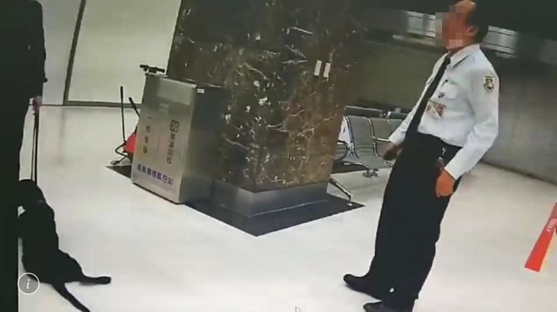 小港機場傳出移民官出腳踹檢疫犬的事件。   圖／翻攝自臉書社團「有點毛毛的」, 2019.02.13