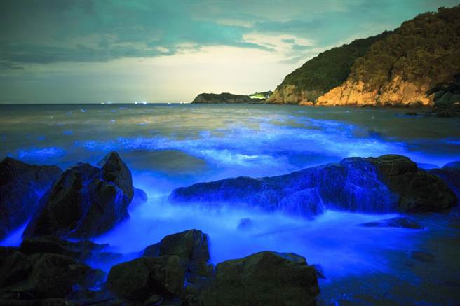 馬祖「藍眼淚」被CNN選為世界15大自然奇景。   圖：連江縣政府/提供