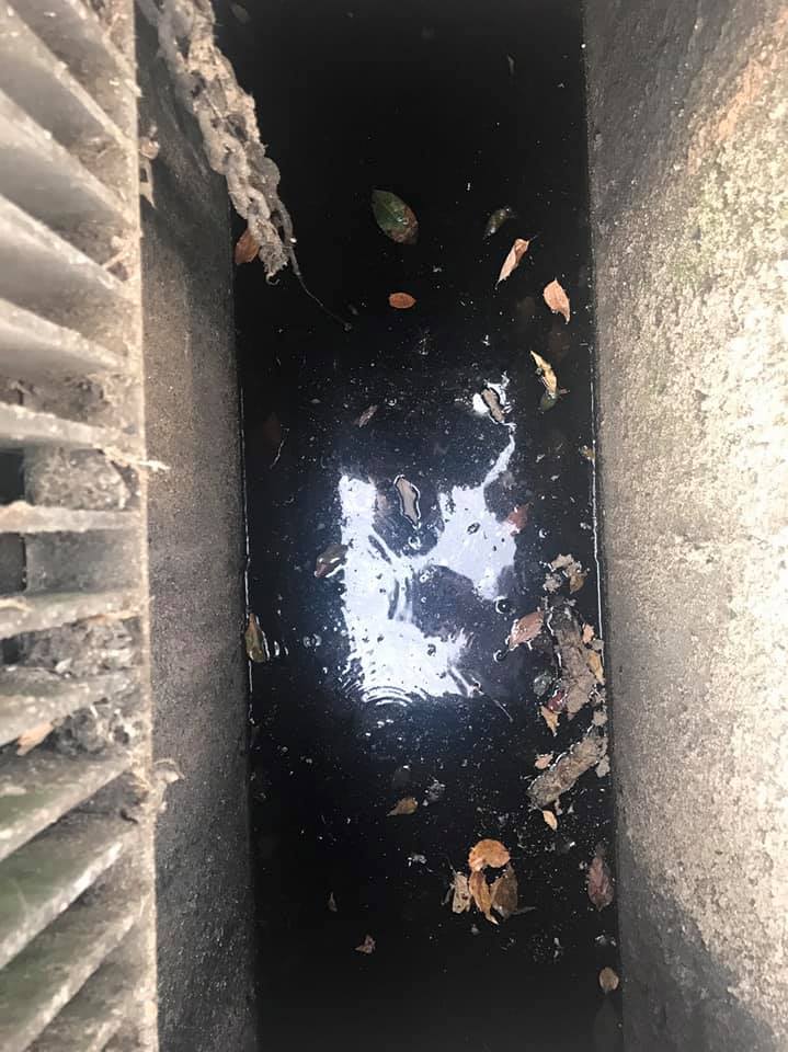 黃國昌下午偕同專家去現場查證時，發現旁邊水溝內都還有油污。   圖：黃國昌臉書