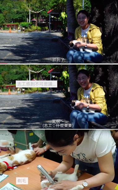 請2018 年底好味小姐應台灣之心邀約參與下鄉 TNR 活動。影片中，好味小姐陳璻安跟著志工誘捕浪貓，替他們清潔要結紮的身體區域、安撫貓咪，讓人非常感動。圖：好味小姐/提供