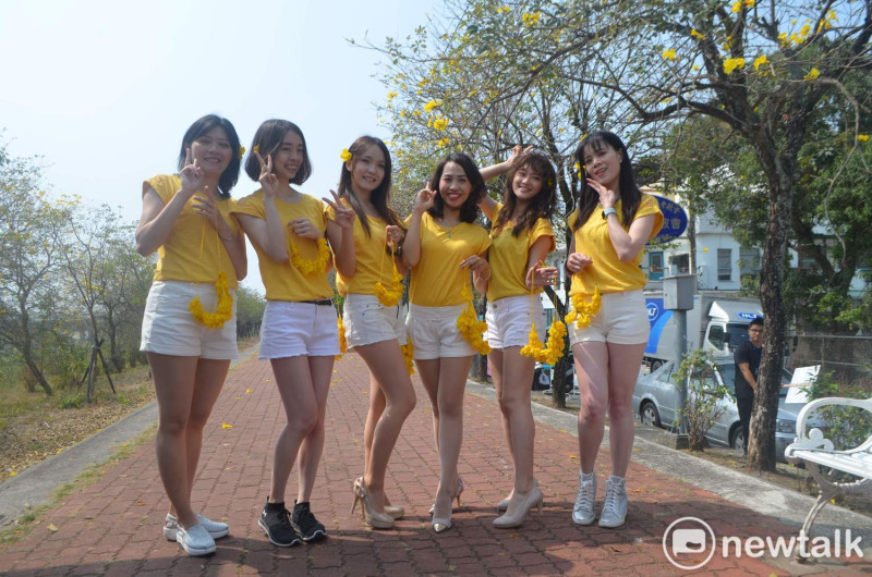 今年的「三月瘋黃花」活動由市府六位美女代言。   圖：蔡坤龍/攝