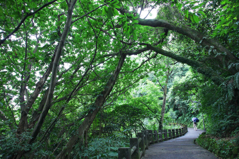 仙跡岩步道花木扶疏的景色，相當迷人。   圖：取自台北旅遊網，王能佑／攝