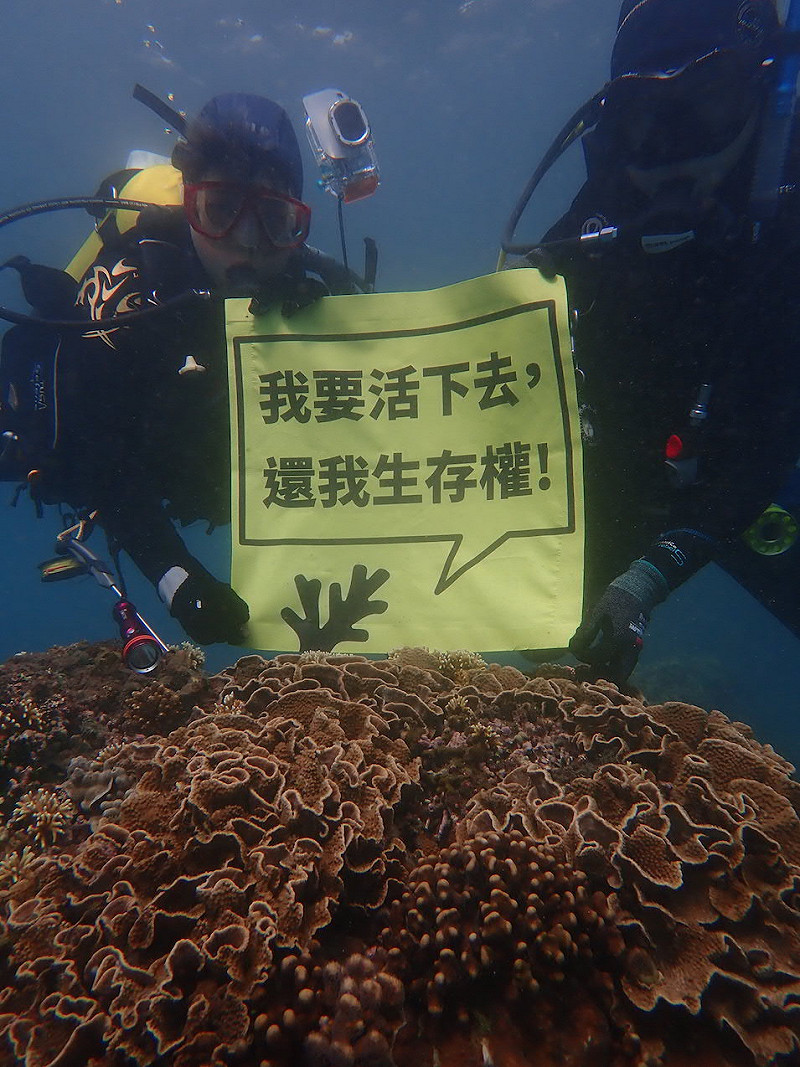 珊瑚礁體檢志工在水下同步行動，反對寶盛水族生態遊樂區。   圖 : 蕭伊真/提供