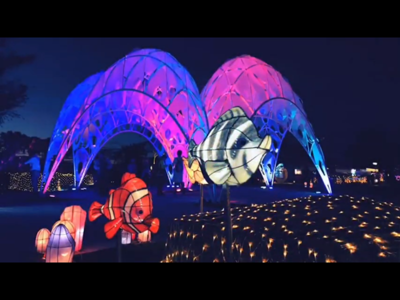 屏東2019台灣燈會展出的裝置藝術「珊瑚之心」，獲義大利A'國際設計大獎賽（A' Design Award）提名。   圖：翻攝自Youtube