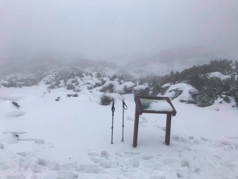 受到冷氣團影響，雪山圈谷昨天下雪一整天，積雪達50公分。   圖：鄭僥龍/提供