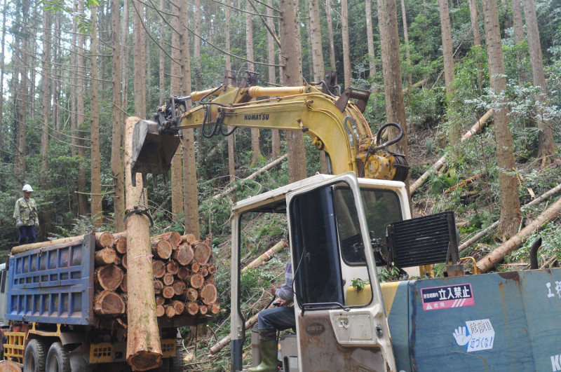 林業試驗所根據資料指出，超過 5 成的民眾認為台灣目前仍未擁有足夠的森林保護區，然也有 4 成民眾同意，保護區以外可適度經營人工林作為台灣自產木材之使用。   圖：農委會林業試驗所／提供