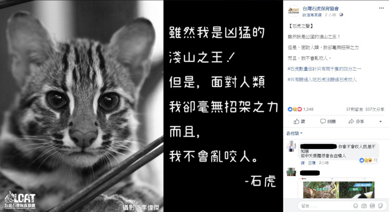 台灣石虎保育協會特製一張圖片，替石虎發聲。   圖：翻攝自台灣石虎保育協會