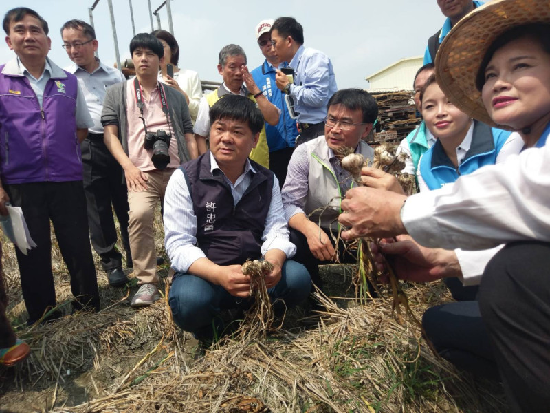 農委會主委陳吉仲於3月22日視察雲林大蒜乾旱受損情形。   圖：農委會／提供