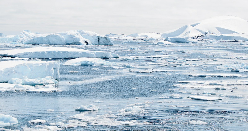 全球暖化問題越趨嚴重，海平面不斷上升，造成地球上的生物面臨生存危機。   示意圖／取自pixabay