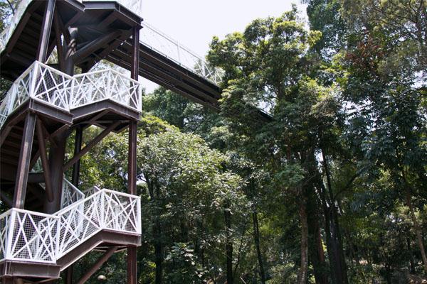 竹崎親水公園內共有3座步道，可以親近大自然。   圖：取自嘉義縣文化觀光局網站