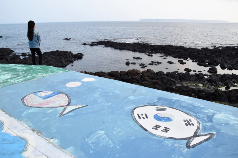該彩繪是在2013年由8位國際志工與營隊兒童一筆一畫描繪而成，將代表澎湖意象的仙人掌、海底世界、陽光融入到創作中，並加入不同國家的國旗等元素而成。   圖：張塵/攝