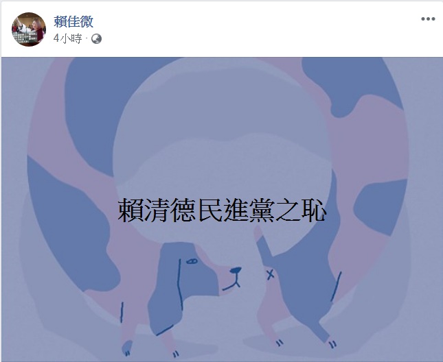民進黨籍台中市議員賴佳微今天(10日)在臉書發文，只有短短一句：「賴清德民進黨之恥」8個字，卻引來不小的震撼。   圖：翻攝賴佳微臉書