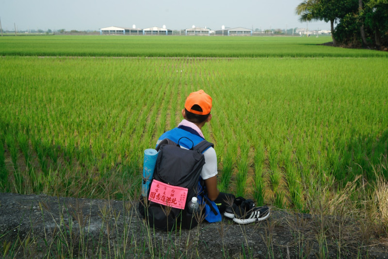 一位坐在稻田旁正在歇腳休息的徒步信眾凝視遠方。   圖：張良一/攝