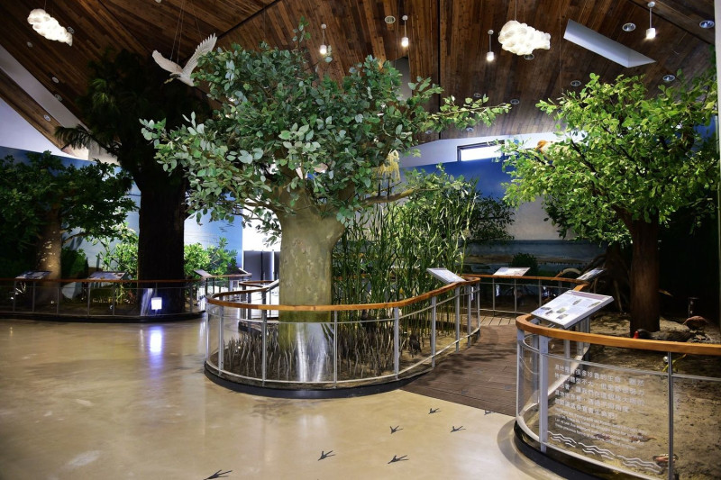 台管處遊客中心生態展示區放大8倍的濕地景觀。   圖：內政部提供