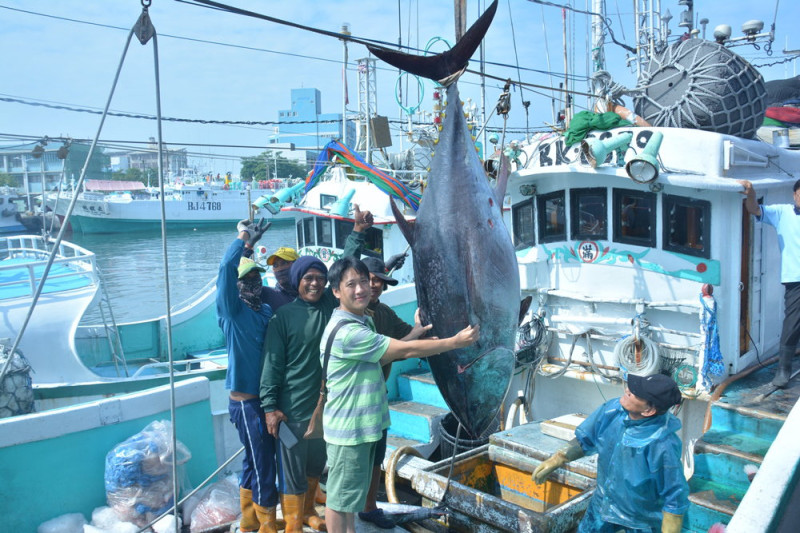 琉球籍漁船「滿大豐2號」捕回今年第一鮪。   圖：屏東縣政府／提供