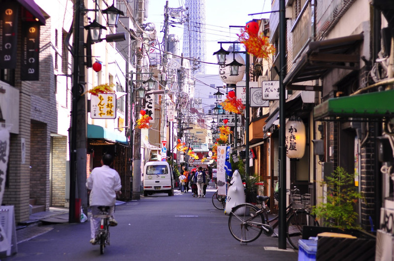 根據日本國家旅遊局（ JNTO ）透過「訪日外國人消費動向調查」統計，外國遊客最少造訪的縣市為「島根縣、福井縣、鳥取縣、高知縣及岩手縣」。   示意圖／取自pixabay