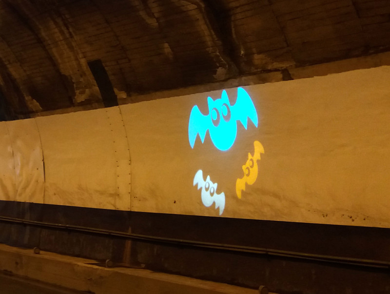 今年在臨近的海濱隧道內設置了蝙蝠Q版光雕投影，期望駕駛別忘了降低車速，以防「路殺」發生。   圖：公路總局／提供