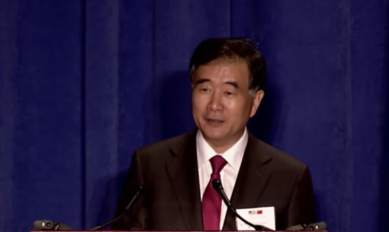 中國全國政協主席汪洋。   圖：翻攝自Youtube