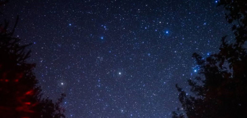 林務局辦天文活動，將在阿里山上讓大家享受銀河星際的浩瀚。   圖／記者陳惲朋翻攝
