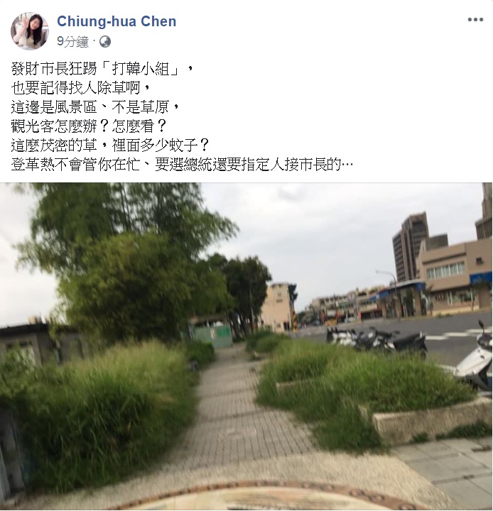前高雄市政府秘書處長陳瓊華在臉書PO出3張照片，要市長狂踢打韓小組之外，還要「記得找人除草」，酸：「登革熱不會管你在忙、要選總統還要指定人接市長的…」   圖：翻攝Chiung-hua Chen臉書