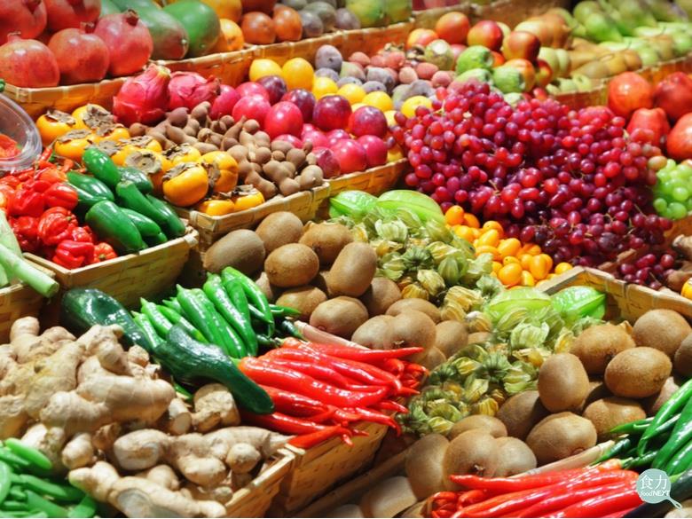 要挑選好的活力蔬果，必須認識它們是如何被種出來的。   圖：食力