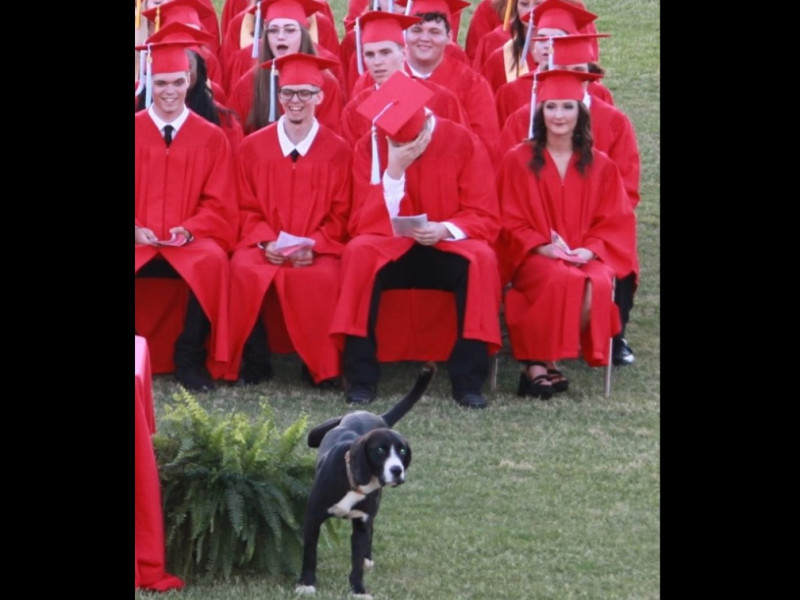 照片中羞愧扶額的畢業生就是查理的主人洛根，想必這次的畢典讓他永生難忘！洛根無奈地說：「這裡每個人都知道牠是我的狗啊！」   圖/Denise Walls