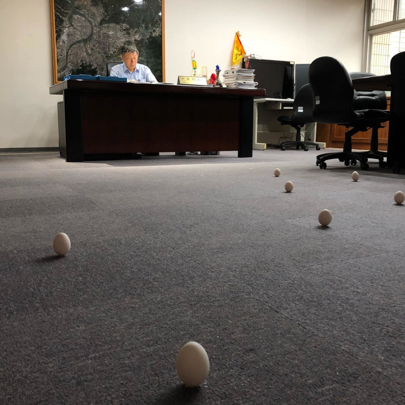 台北市長柯文哲的市長辦公室地毯上立了許多顆蛋。   圖：翻攝柯昱安臉書