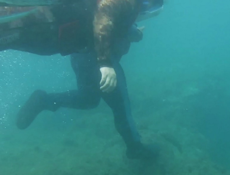 小琉球一名潛水客腳踩綠蠵龜畫面被當地民眾拍到後舉發。   圖：海巡署第五岸巡隊／提供
