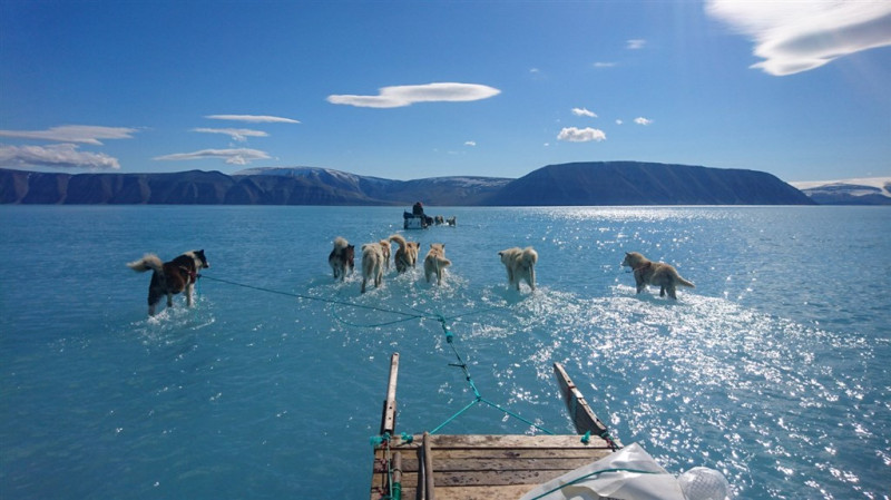 丹麥氣象研究所的科學家在格陵蘭北部拍攝冰層提前融化令人震驚的照片。   圖：取自RasmusTonboe推特