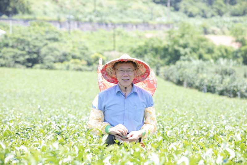 台北市長柯文哲參訪初鹿佳芳有機茶園。   圖：柯粉俱樂部 / 提供