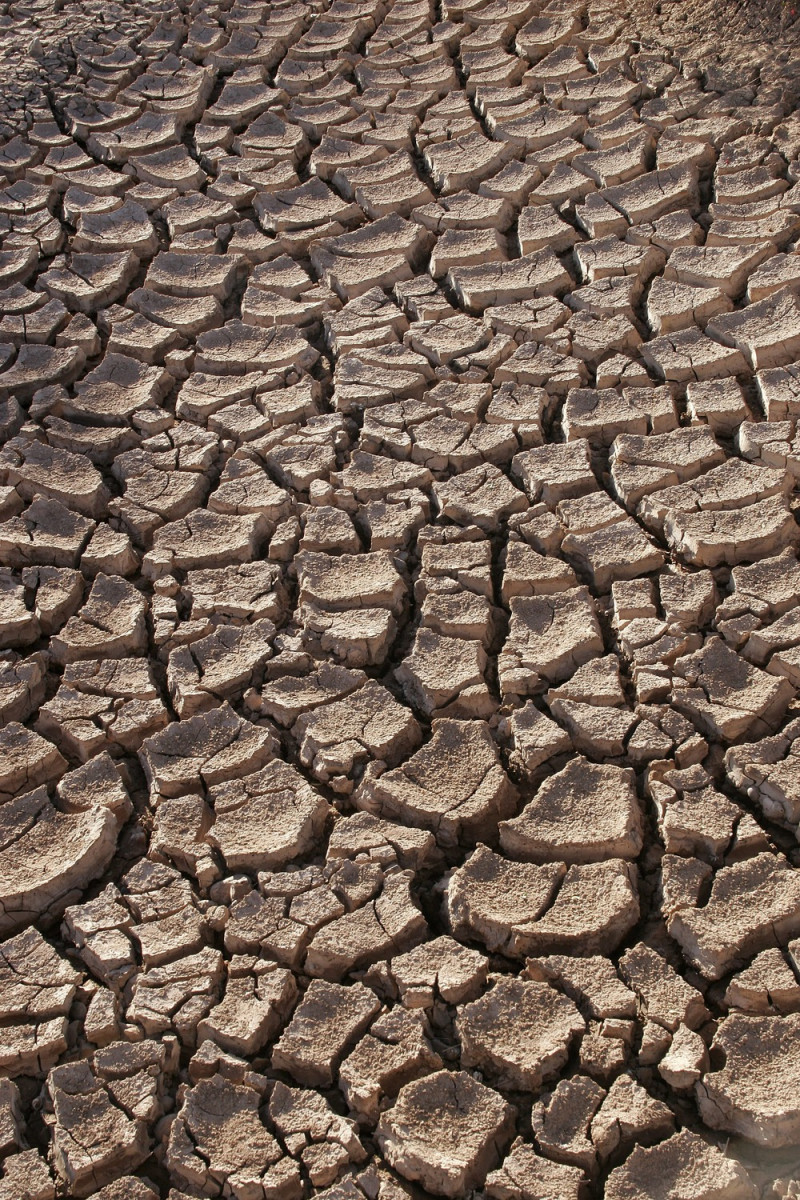光緒初年，華北大旱，持續四年遭受大面積乾旱，農產絕收。   圖：翻攝自維基百科