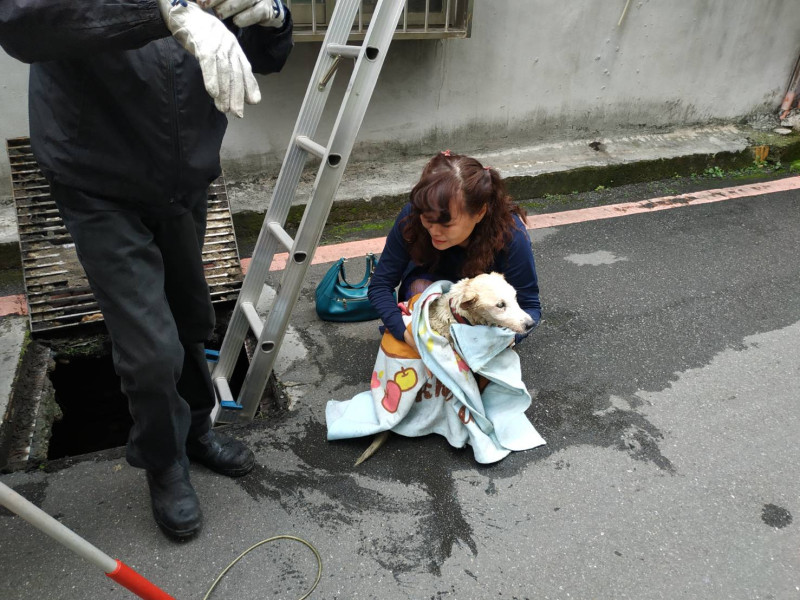 飼主抱著愛犬感謝救援人員。   圖：新北市動保處／提供