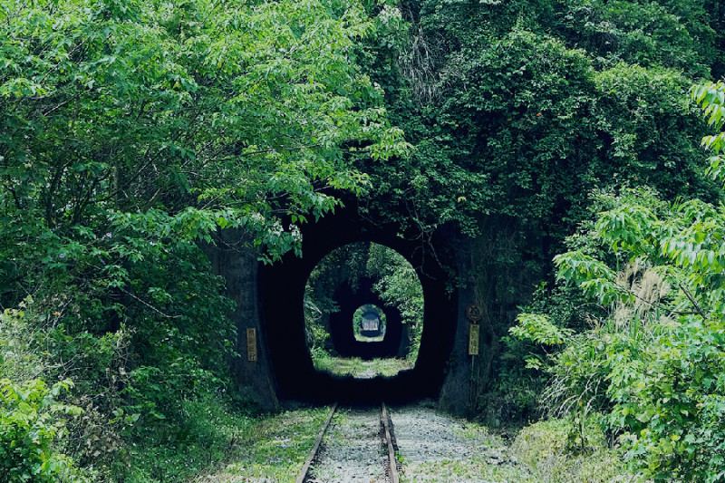 連續隧道群為三號、四號、五號、六號四座隧道構成的短隧道群。由於該段為直線，而且隧道接連設置，因此能夠在一端同時看到多個隧道。   圖：舊山線鐵道自行車官網／提供