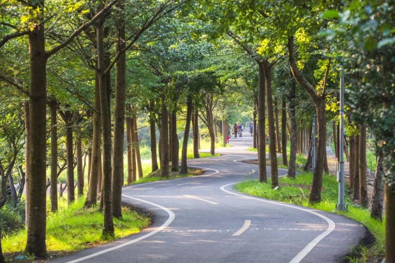潭雅神綠園道全長14公里，因平緩好騎，途中經綠林彎道，深受台中人喜愛。   圖：翻攝自台中觀光旅遊網