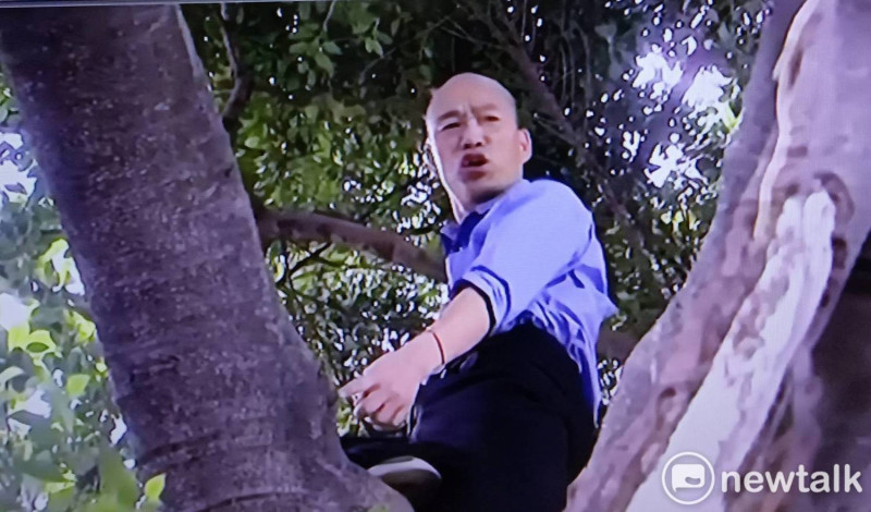 高雄市長韓國瑜24日視察登革熱疫情，竟爬上路樹勘察樹洞積水狀況。   圖：孫家銘/攝（資料照片）