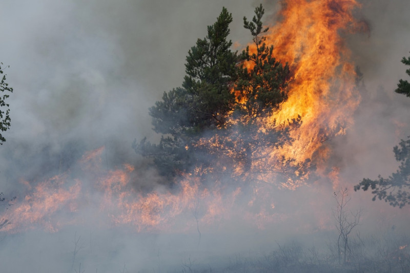西伯利亞大部分地區今年出現異常高溫，導致大規模野火重創當地森林。   圖：翻攝The Copernicus Atmosphere Monitoring Service官網