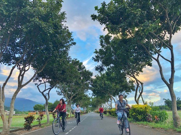 花東縱谷風景區風景壯美，路又平直，是非常棒的單車路線。   圖：海灣自行車慢旅官網／翻攝