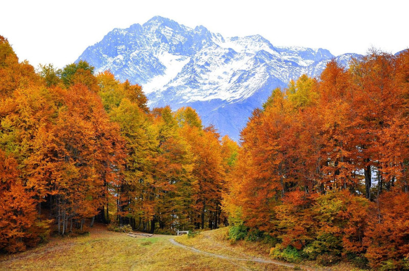 俄羅斯幅員遼闊，各地秋景因多樣地形而有豐富華美的面貌。   圖：翻攝自Russia Travel臉書