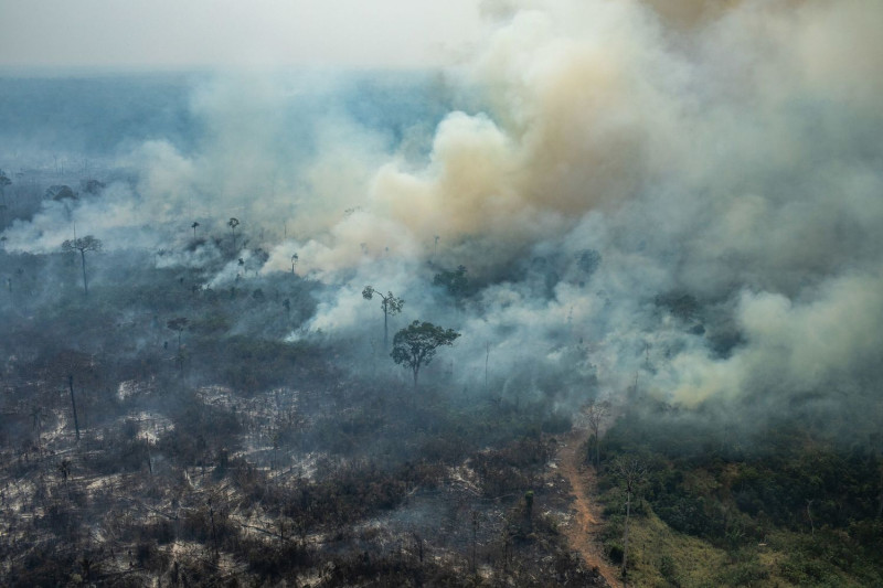 綠色和平指出，亞馬遜森林大火與過度開發息息相關。幾乎90％的環保人士謀殺案發生在亞馬遜地區。   圖 : 綠色和平/提供