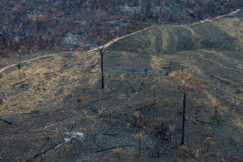 亞馬遜森林大火，火過之處，寸草不生。   圖 : 綠色和平/提供