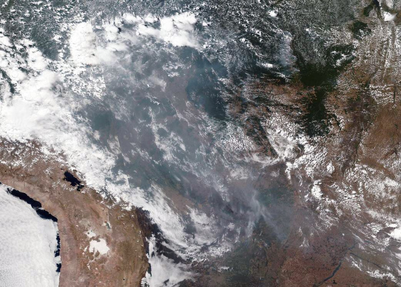 衛星拍攝亞馬遜森林大火畫面。   圖 : 綠色和平/提供