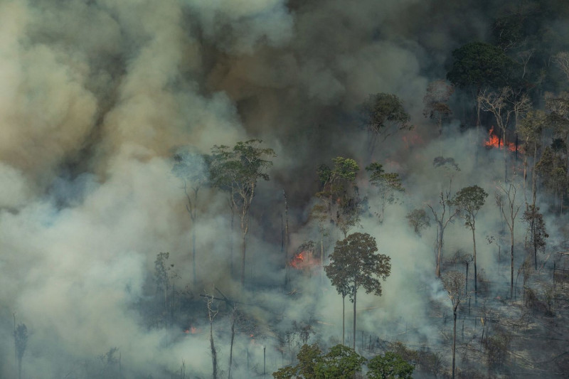 亞馬遜森林大火，一片濃煙瀰漫，產生大量一氧化碳。   圖 : 綠色和平/提供